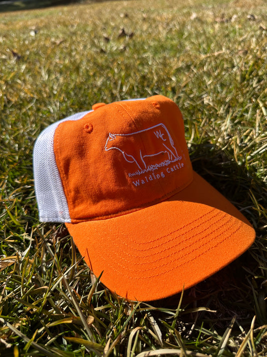 Orange Hat