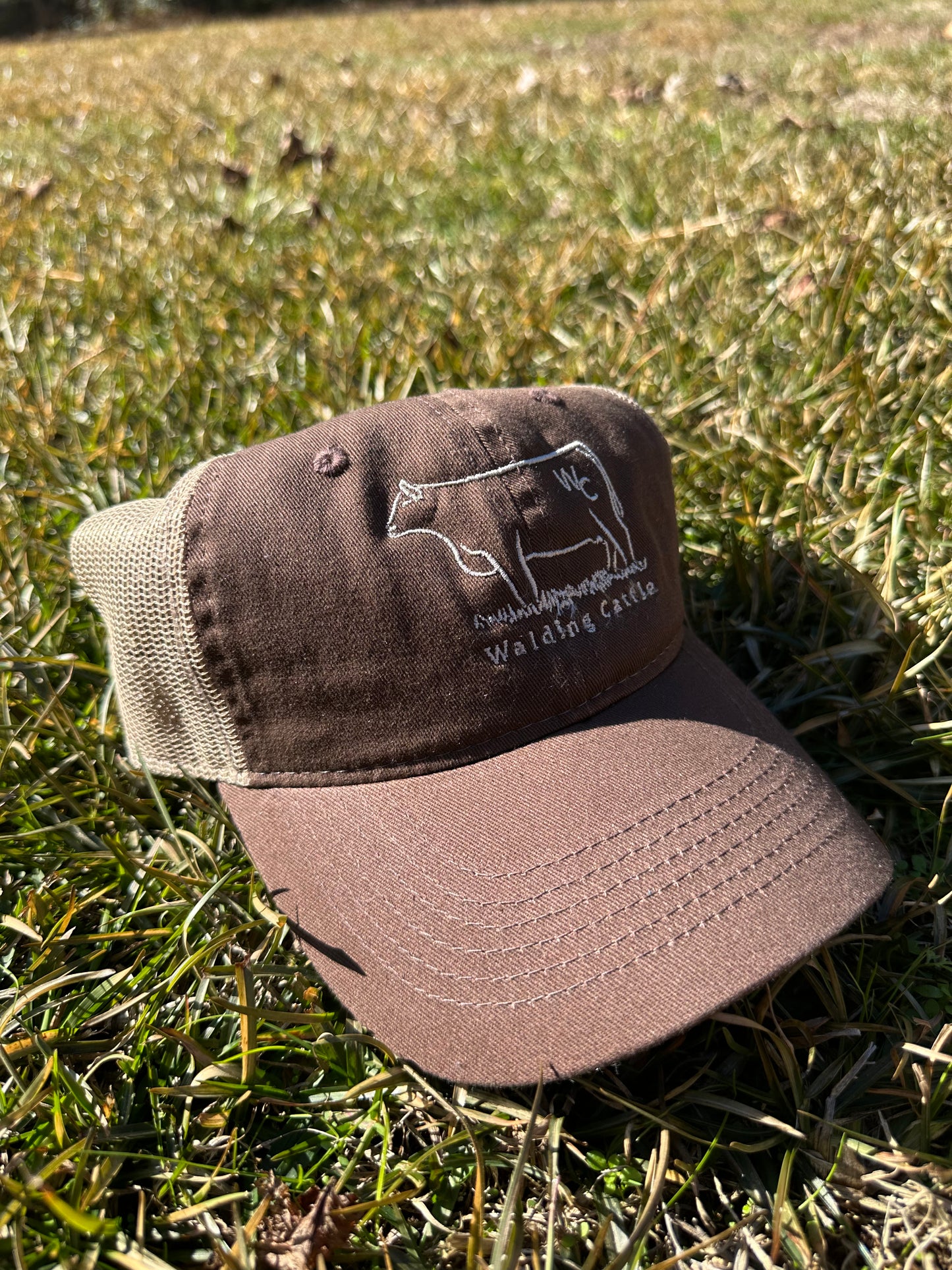 Brown Hat